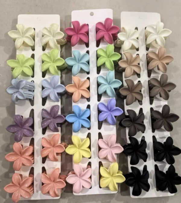 Docena Mini pinza Hawaiiana colores matte el color se envían surtido al azahar