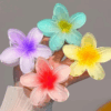 Docena pinza flor Hawaiana
